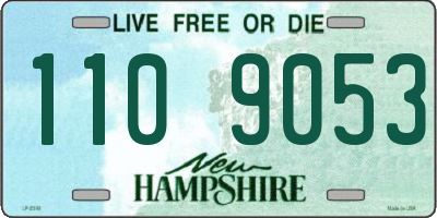 NH license plate 1109053