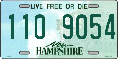 NH license plate 1109054