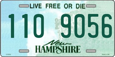 NH license plate 1109056