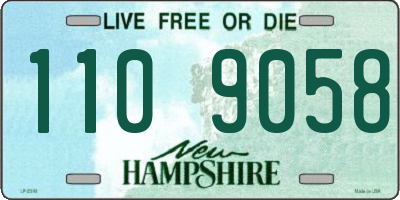NH license plate 1109058