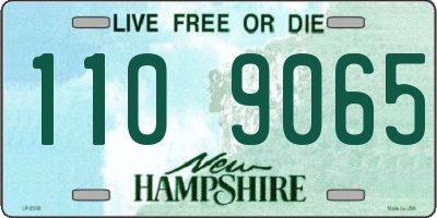 NH license plate 1109065