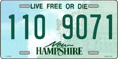 NH license plate 1109071