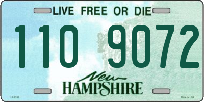 NH license plate 1109072