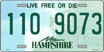 NH license plate 1109073