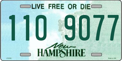 NH license plate 1109077