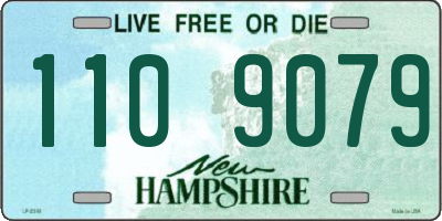 NH license plate 1109079