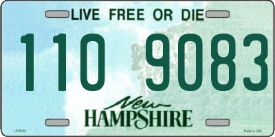 NH license plate 1109083