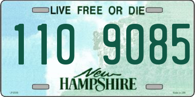 NH license plate 1109085