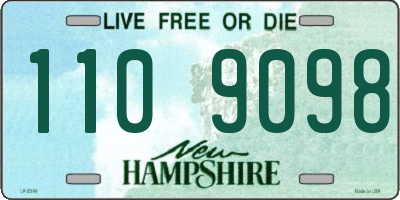 NH license plate 1109098