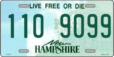 NH license plate 1109099