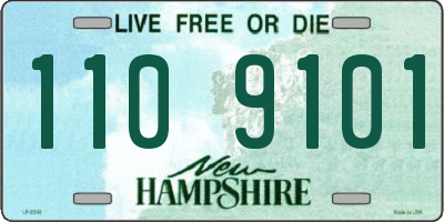 NH license plate 1109101