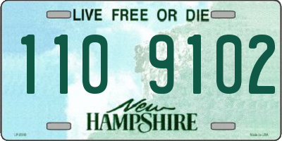 NH license plate 1109102