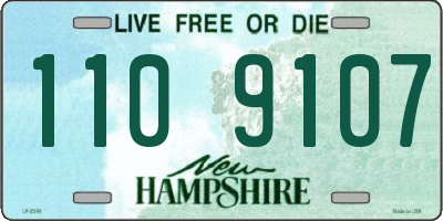 NH license plate 1109107