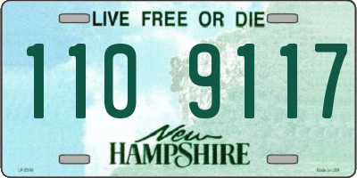 NH license plate 1109117