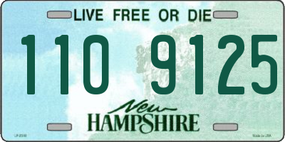 NH license plate 1109125