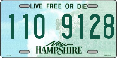 NH license plate 1109128