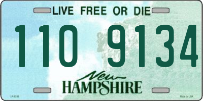 NH license plate 1109134
