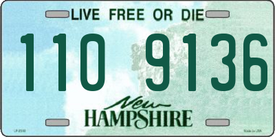 NH license plate 1109136