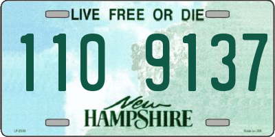 NH license plate 1109137