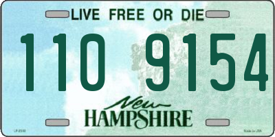 NH license plate 1109154