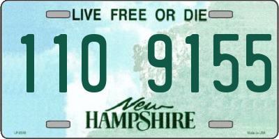 NH license plate 1109155