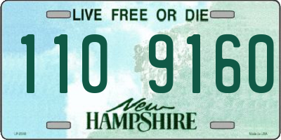 NH license plate 1109160