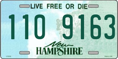 NH license plate 1109163