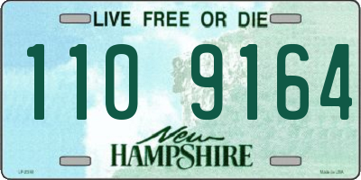 NH license plate 1109164