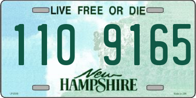 NH license plate 1109165