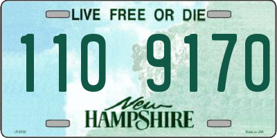 NH license plate 1109170