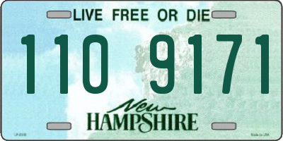 NH license plate 1109171