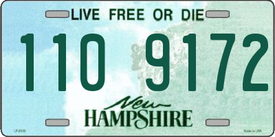 NH license plate 1109172