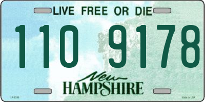 NH license plate 1109178