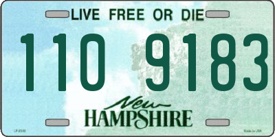 NH license plate 1109183
