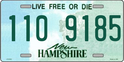 NH license plate 1109185
