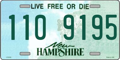 NH license plate 1109195