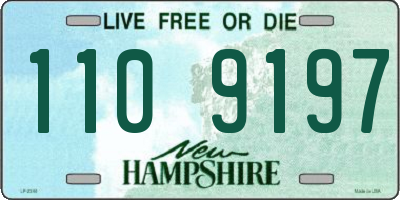 NH license plate 1109197
