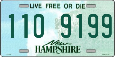 NH license plate 1109199