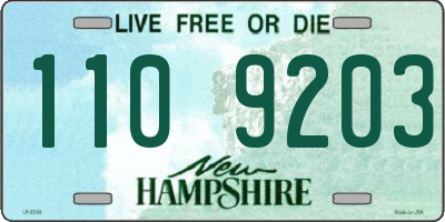 NH license plate 1109203