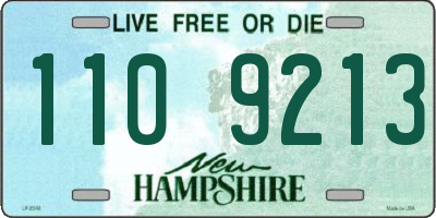 NH license plate 1109213