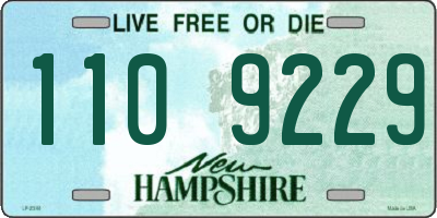NH license plate 1109229