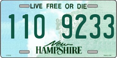 NH license plate 1109233