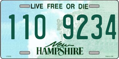 NH license plate 1109234