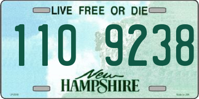 NH license plate 1109238