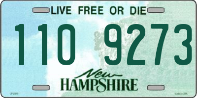 NH license plate 1109273