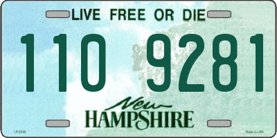 NH license plate 1109281