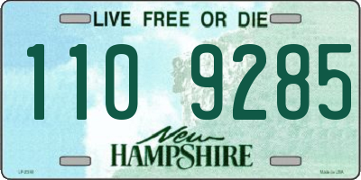 NH license plate 1109285