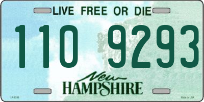 NH license plate 1109293