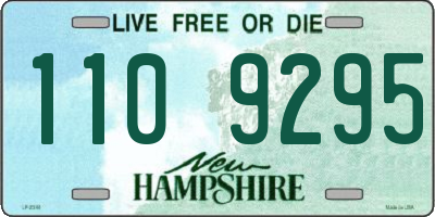 NH license plate 1109295