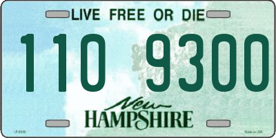 NH license plate 1109300